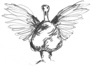turkey illustration - facing
