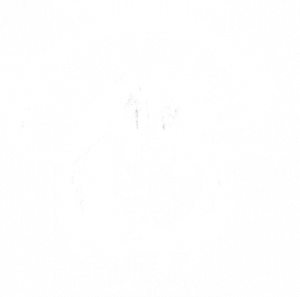 turkey illustration white - facing
